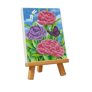 תחביבים