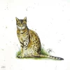 מגבות שולחן 33X33 FARMFRIENDS CAT L 860100