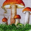 נאטלי סט של מגבות מטבח "לוקושקו", 60x48 ס"מ