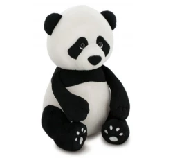 פנדה כתומה בוא, 20 ס