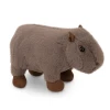 אורנג