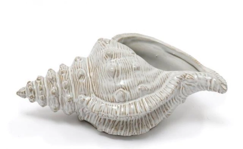  vase רַקָּבִינָה, 10X23X13 ס"מ, SiL 