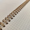 ברונו ויסקונטי מחברת על גבעול «פנטזיית פרחים» A6, 60 דפים, רשת