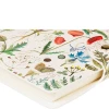 יומן ללא תאריכים Bruno Visconti, Flora: עשבי בר, B6, ‏80 דפים.