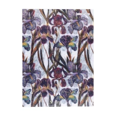תיקיית פינה Bruno Visconti Flora: אירוסים