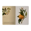 מחברת BrunoVisconti "Flora: תפוזים", A6, ‏32 דפים, שורות.