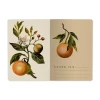 מחברת BrunoVisconti "Flora: תפוזים", A5, ‏40 דפים, שורות.