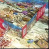 Cherry Pazzi "גן השוניות", 2000 חלקים