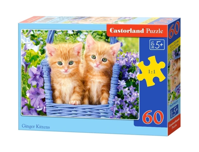Castorland "חתלתולים אדומים", 60 חלקים