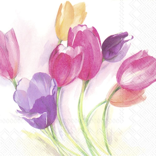 IHR מפיות שולחן עונתTulip