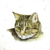 מגבות שולחן 33X33 FARMFRIENDS CAT L 860100