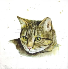 מגבות שולחן 33X33 FARMFRIENDS CAT L 860100