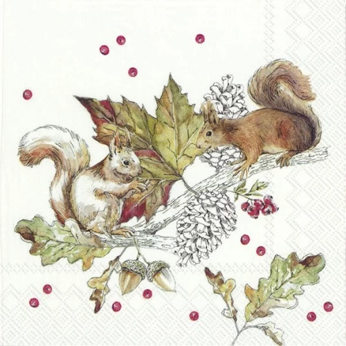 IHR מפיות שולחן סנאים ופירות יער, 33x33 ס"מ, L 886100