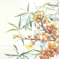 מגבות שולחן 33x33 ס
