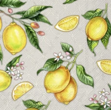 מגבות שולחן 33X33 CITRONS L 960145