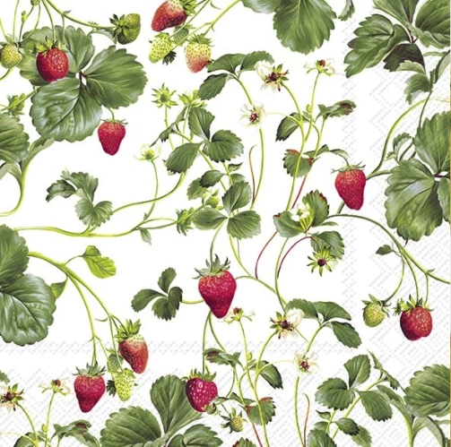 מגבות קוקטייל 25x25 ס"מ ERDBEERE C 954900
