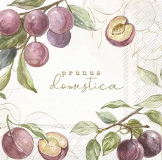 מגבות שולחן 33X33 COUNTRY PLUMS L 965060
