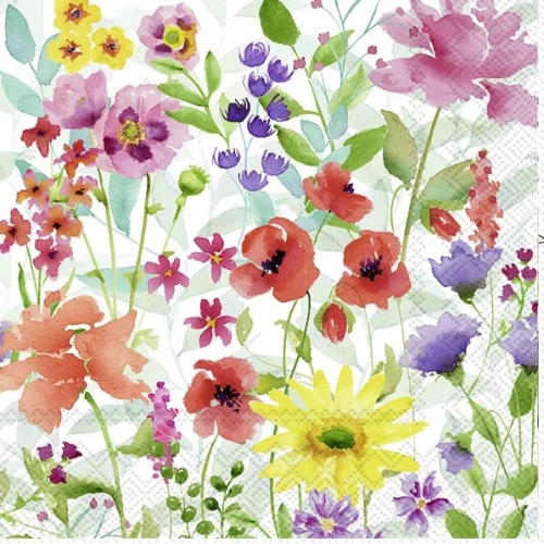 IHR מפיות קוקטייל פרחים אקוורל, 25x25 ס"מ, C 989800