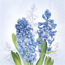IHR מפיות קוקטייל סגול היג'יצינט, 25x25 ס