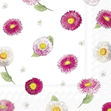 IHR מפיות קוקטייל BELLIES ALLOVER, 25x25 ס