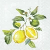 IHR מפיות קוקטייל לימונים, 25x25 ס"מ, C1035128