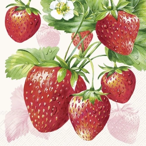 מגבות נייר "Strawberry Fruits Cream", 33x33