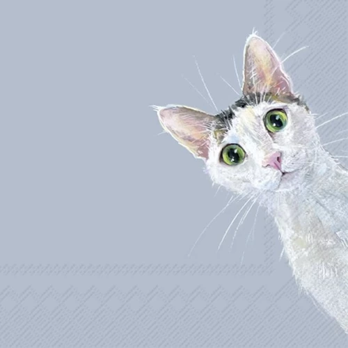 מגבות נייר "Cat Stella", 33x33